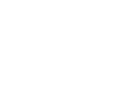 website logo for fiiz drinks