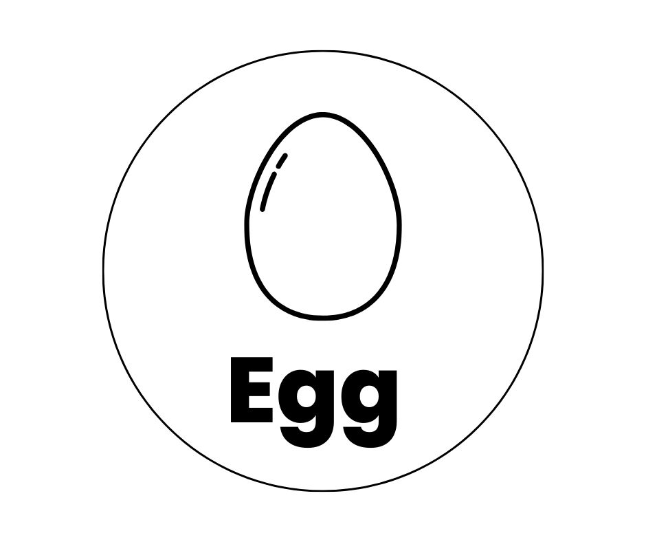 egg